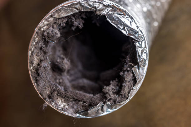 Best Local Air Duct Cleaning Services  in Johnson City, TN